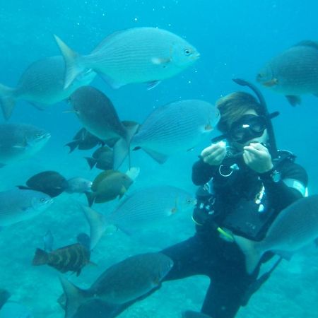 Opa Resort Ito  Dış mekan fotoğraf